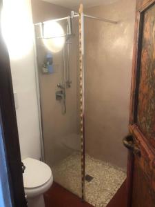 a bathroom with a shower and a toilet at Ca' Parodi Bel View in Parodi Ligure +9 photos