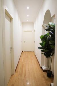 a hallway with white walls and a wooden floor and a plant at Country House, on the slopes of Vesuvius 3 in Terzigno