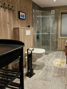 Koupelna v ubytování New Mountain Cabin With Views Over Eggedal