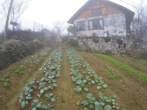 Φωτογραφία από το άλμπουμ του Vi's House - Nature in the middle of Hmong village στο Sa Pa