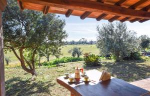 a wooden table with tea on it in a field at Appartamenti a Sa Serra di Orosei in Orosei +8 photos