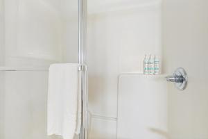 a bathroom with a shower with a towel on the door at Lofty Views in Indian Pass +30 photos