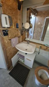 a small bathroom with a sink and a toilet at Camping: bring your tent or van in Feldkirchen bei Graz