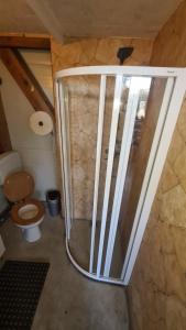 a bathroom with a shower and a toilet in a room at Camping: bring your tent or van in Feldkirchen bei Graz