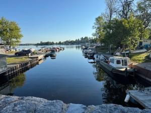 a group of boats are docked in a river at Apple Tree Cottage -1000 Islands in Clayton