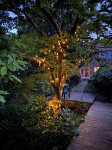 a tree with christmas lights on it in a garden at Pebbles & Prosecco in Brighton & Hove
