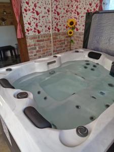 a jacuzzi tub in a room with a flower wall at Kuća za odmor Janković in Ludbreg