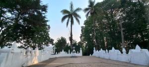 a white fence with a palm tree in the background at coraizone hostel in Cobán