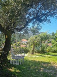 a swing hanging from a tree in a yard at Casa Ermida in Pincães