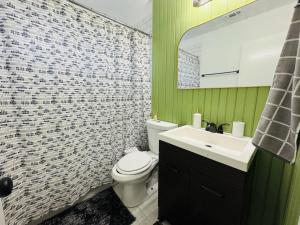a bathroom with a toilet and a sink and a mirror at Fenced Yard • Fire pit • Fireplace • Pet Friendly in Wylie +9 photos