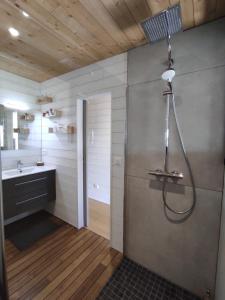 a bathroom with a shower and a sink at Chambre Perchée avec vue imprenable sur le lac de Lacanau in Lacanau +10 photos