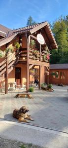 クルツィショアラにあるCasa Regineiの建物前の床敷き