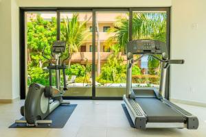 einen Fitnessraum mit zwei Laufbändern und einem großen Fenster in der Unterkunft Resort getaway San Pancho style in San Francisco