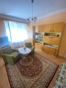 ティサウーイバーロシュにあるVica Apartmanのソファとテーブルのあるリビングルーム