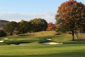 a green golf course with a tree and a pond at Comfy PR near UHS Wilson and BU in Johnson City