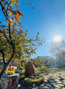 Φωτογραφία από το άλμπουμ του Vashlovani Sweet Home σε Dedoplis Tskaro +26 φωτογραφίες