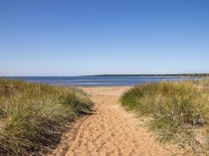 a dirt road through the grass on a beach at Holiday Home Östra Stranden by Interhome in Larsfrid