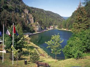 a view of a lake in the middle of a mountain at Apartment Relax tra i Monti by Interhome in Livo +21 photos