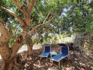 Dos sillas azules sentadas debajo de un árbol en Holiday Home Casa Paolina by Interhome, en Módica