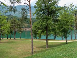 a group of trees in a field next to a lake at Apartment Relax tra i Monti by Interhome in Livo