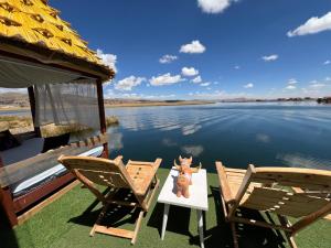 two chairs and a table with a toy animal on it on a porch at QHOCHA Titikaka lodge in Puno +5 photos