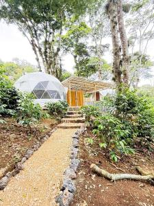 a garden with a greenhouse and a house with trees at Alma Glamping in Coatepec +14 photos