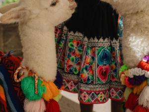 Galería fotográfica de Novotel Cusco en Cuzco 132 fotos más