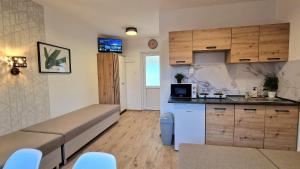 Η κουζίνα ή μικρή κουζίνα στο Stela Štúdio areál Vadaš