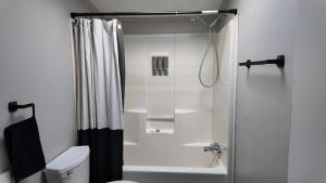 a bathroom with a shower and a toilet at Faith short term rental in Romulus