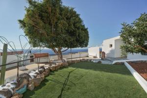 einen Hinterhof mit Rasen und Baum in der Unterkunft Finca Pisaverde, a peaceful haven between the sea and Teide in El Pris
