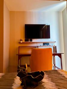 a cat toy sitting on the floor in a room with a television at Vaelora Stay Modern & Cozy Studio Apartment in Ghaziabad +13 photos