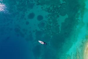 Naturlandskabet i nærheden af lejligheden + 73 billeder