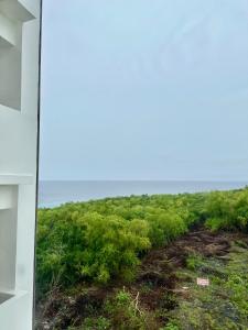 Φυσικό τοπίο κοντά σε αυτό το bed & breakfast