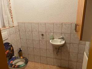 a bathroom with a sink and a toilet at Biohof Kroisleitner Ferienwohnung Abendsonne 