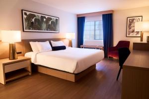 a hotel room with a bed and a red chair at CasaBlanca Resort, Casino, Golf & Spa in Mesquite