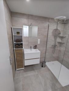 un bagno con lavandino e doccia di Gîte de la Rouge Roye a Nompatelize