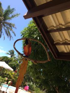 Um jardim em Pousada Ecologica Bangalo de Praia