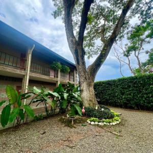 Afbeelding uit fotogalerij van Hostería Horizontes in Caucasia +39 foto's