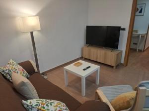 TV a/nebo společenská místnost v ubytování Apartamento Lugo Muralla
