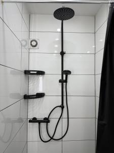 a shower with a shower head in a bathroom at Ferienwohnung - schönes Heim Li-Apartments in Pforzheim
