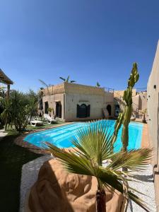 Πισίνα στο ή κοντά στο L'oasis, pretty villa in Marrakech heated pool