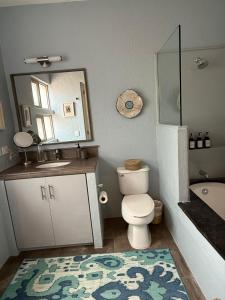 a bathroom with a toilet and a sink and a mirror at Casa Arroyo in San Miguel de Allende +36 photos
