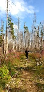 Επισκέπτες που μένουν στο Ferienwohnung Mein Platz im Harz