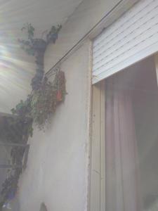 Φωτογραφία από το άλμπουμ του Amy σε La Plata +30 φωτογραφίες