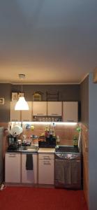 Fotografie z fotogalerie ubytování Cityline home Coka v Bělehradě