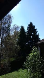 a group of trees in a field next to a house at Appartements indépendants dans chalet en Auvergne in Chomelix +11 photos