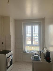une cuisine avec un évier et une fenêtre dans l'établissement Cosy and functional apartment close to Cornavin, à Genève