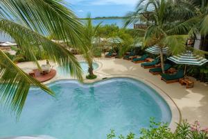 Una piscina con sillas y palmeras en un resort. en Aura Hotel Barú, en Barú