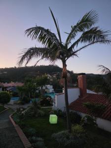 a palm tree in a yard next to a building at INN Mountain Country House in Caniço
