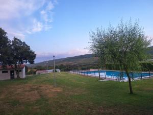a swimming pool in a yard with a tree at Casa María in Baltar